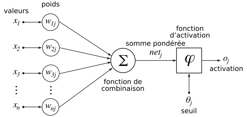 Structure d'un neurone artificiel. Le neurone calcule la somme de ses entrées puis cette valeur passe à travers la fonction d'activation pour produire sa sortie. Source : Wikipedia